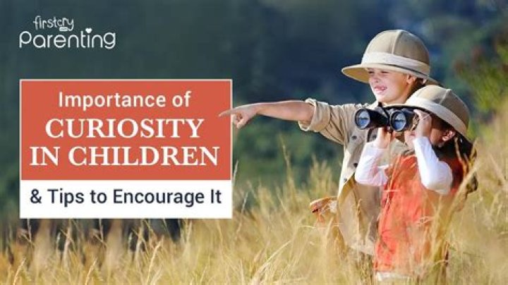 Exploring the Essence of Curiosity: What on Earth Are You Doing There?