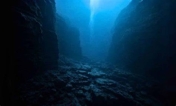 Exploring the Fascinating World of Faoello
