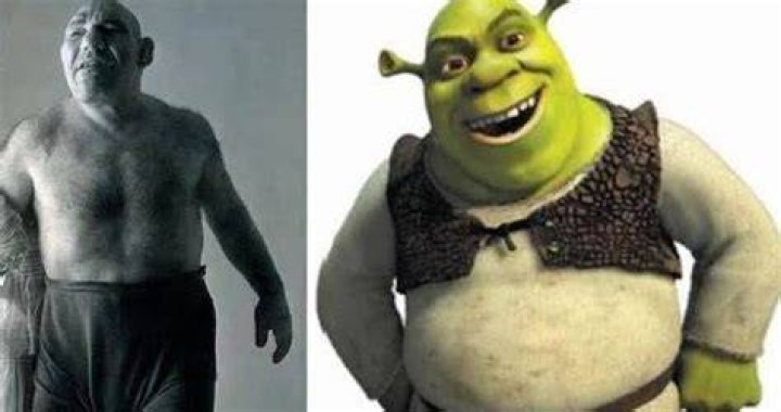 Exploring the Fascinating World of Moris Tiyé Shrek: A Comprehensive Guide