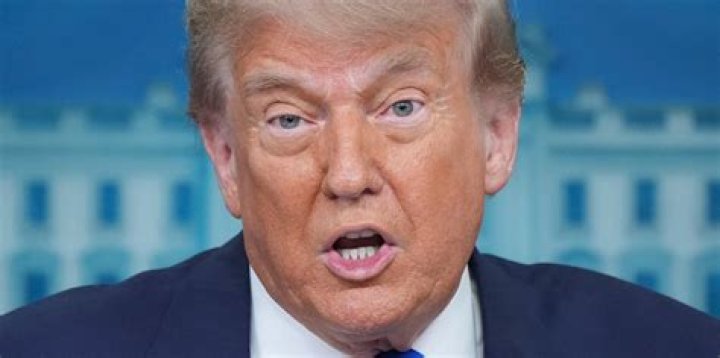 Exploring the Fascinating World of Trump Animatronic