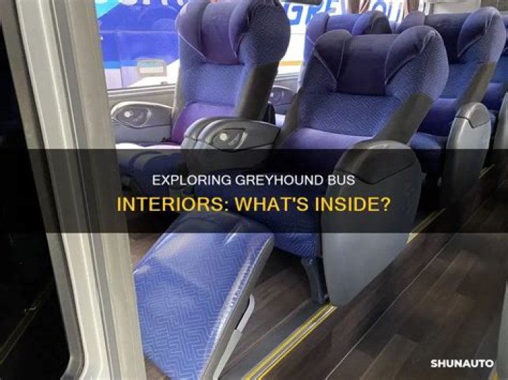 Exploring the Inside of a Greyhound Bus: A Comprehensive Guide