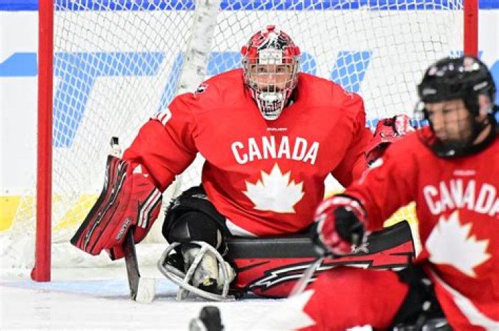 Exploring the Legacy of Hockey Players from Canada: A Deep Dive into Talent and Triumph