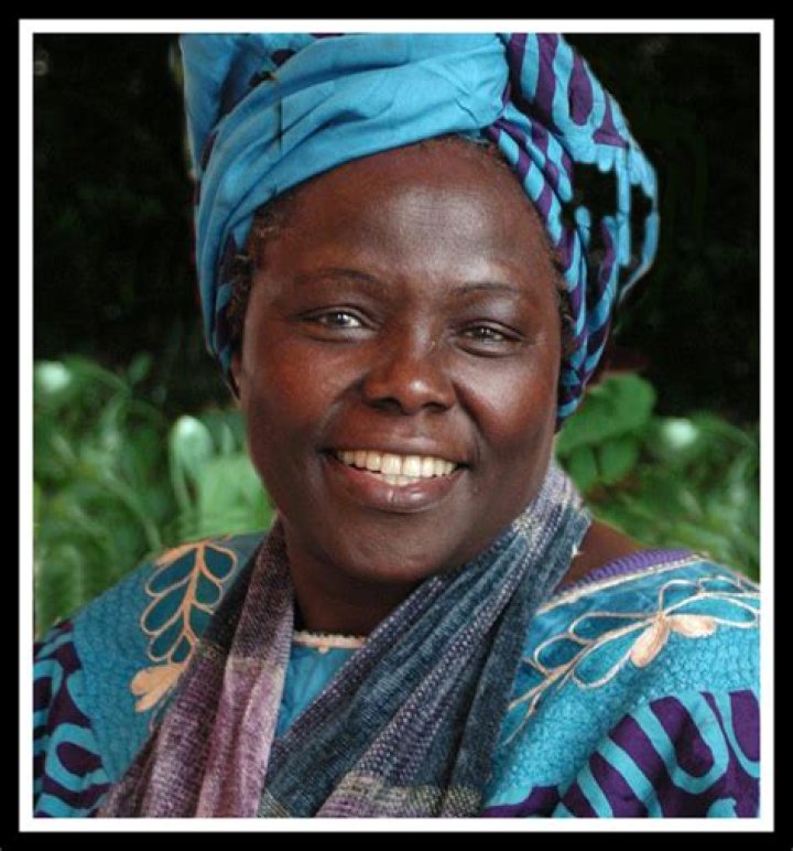 Exploring the Life and Achievements of Adizia Benson