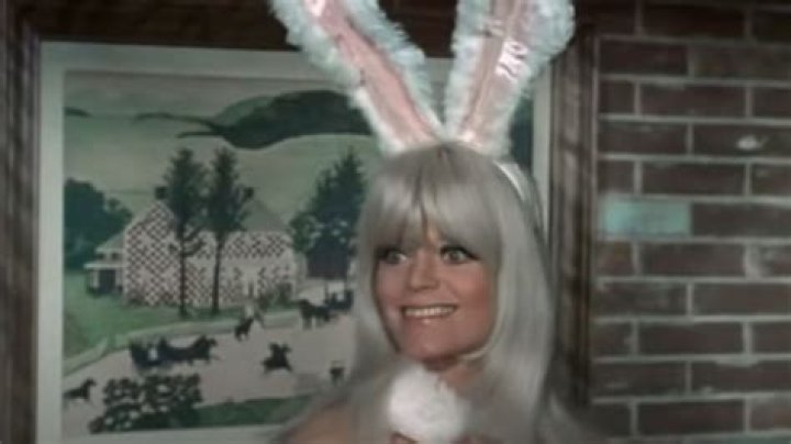 Exploring the Life and Career of Actress Carol Wayne