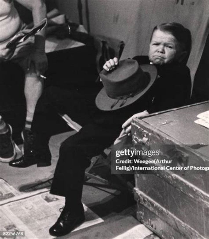 Exploring the Life and Legacy of Harry Earles: The Iconic Performer