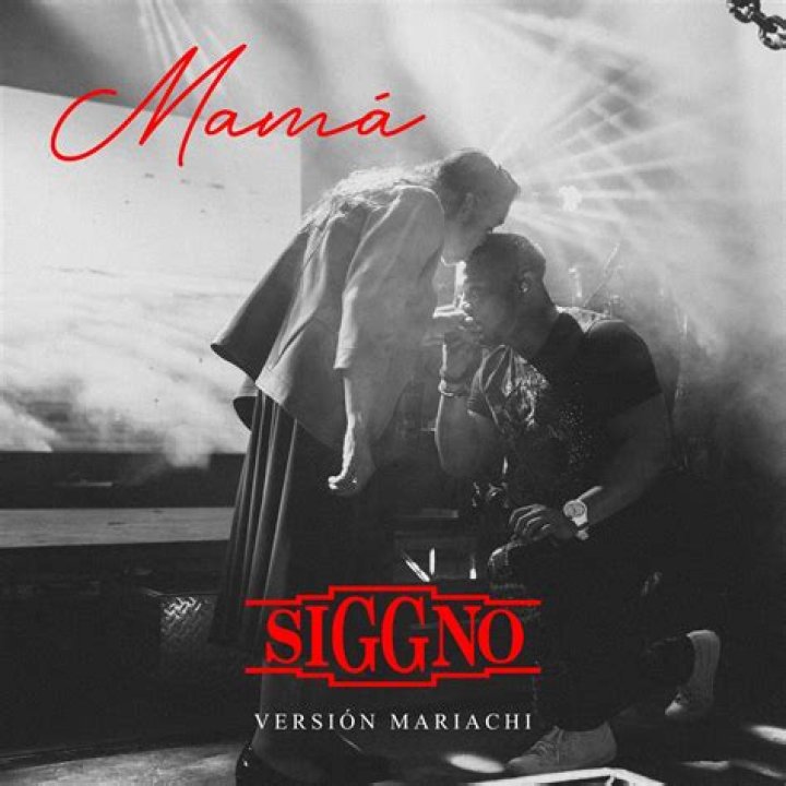 Exploring the Meaning Behind Mama Siggno Lyrics in English
