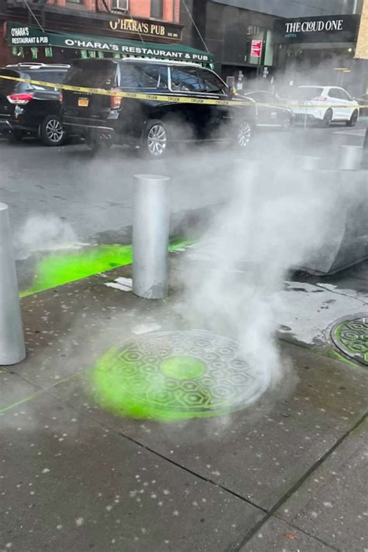 Exploring the Mystery of Green Slime in New York