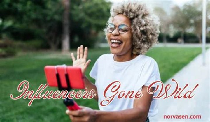 Exploring the Phenomenon of InfluencersGoneWild: Impact and Insights