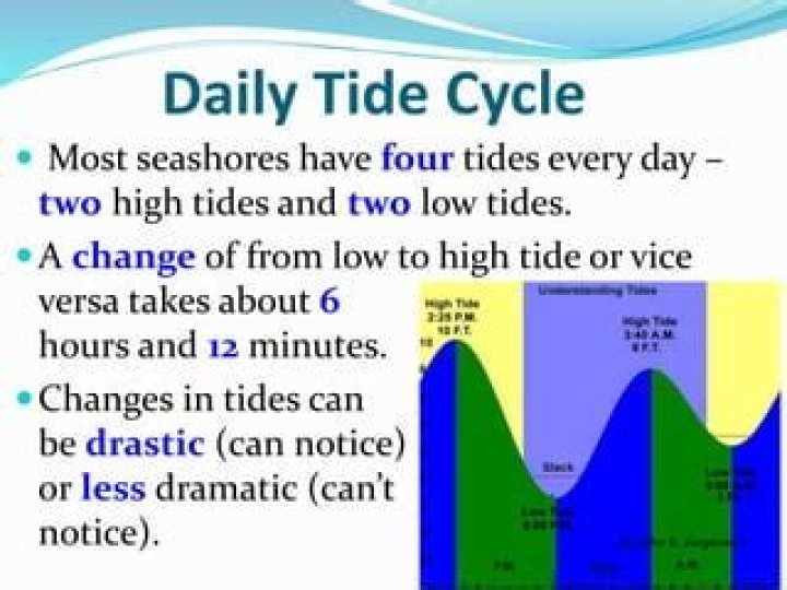Exploring the Times and Tides of Change