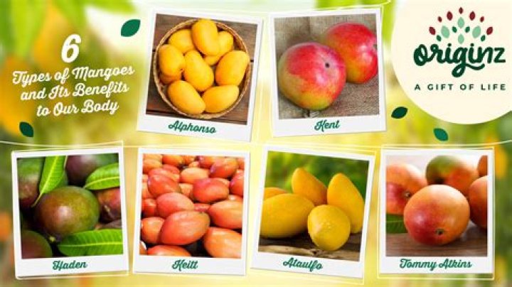 Exploring the Varieties of Mangoes: A Comprehensive Guide