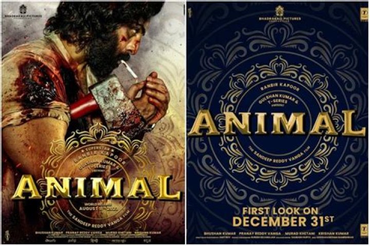 Exploring the World of Bollywood Movies: A Deep Dive into the Genre