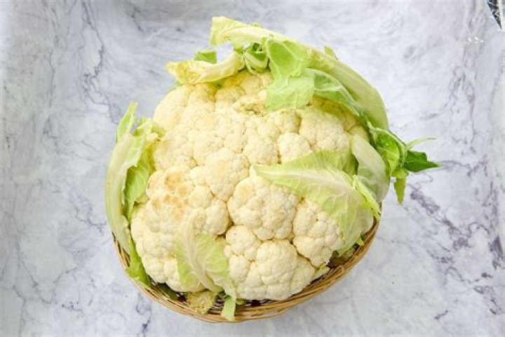 Exploring the World of Man Made Vegetables: A New Era in Agriculture