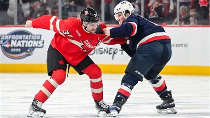 Exploring the World of National Hockey League Players: A Deep Dive Into Talent and Legacy