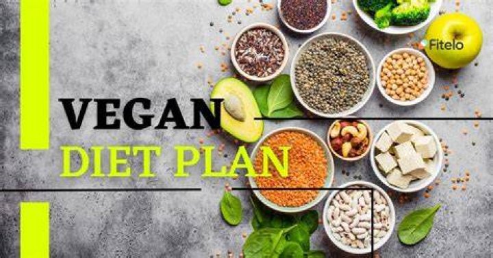 Exploring the World of Vegees: A Comprehensive Guide to Vegetarian and Vegan Lifestyle