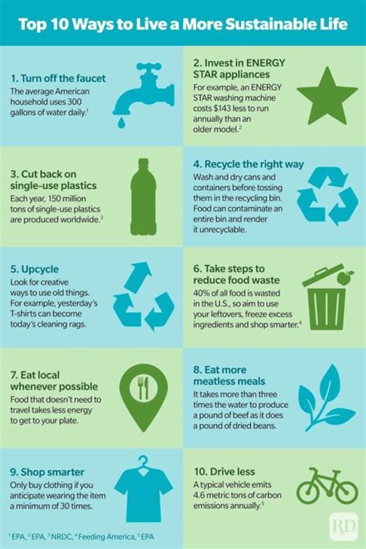 Exploring the World of VegHaeS: A Comprehensive Guide to Sustainable Vegan Living