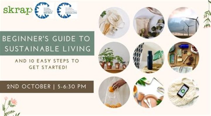 Exploring Vegamoves: A Comprehensive Guide to Sustainable Living