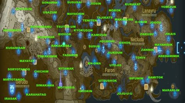 Exploring Wings 101: A Comprehensive Guide to the World of Wings