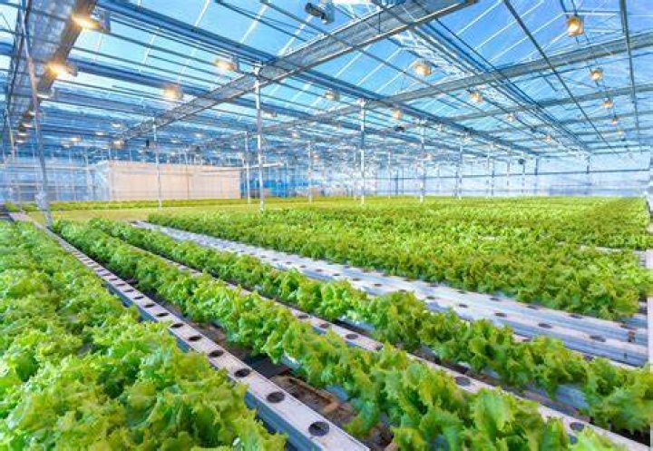 Faponic: The Future of Sustainable Farming Technology
