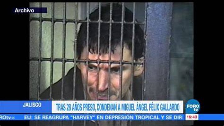Felix Gallardo Arrest: The Fall of a Drug Lord