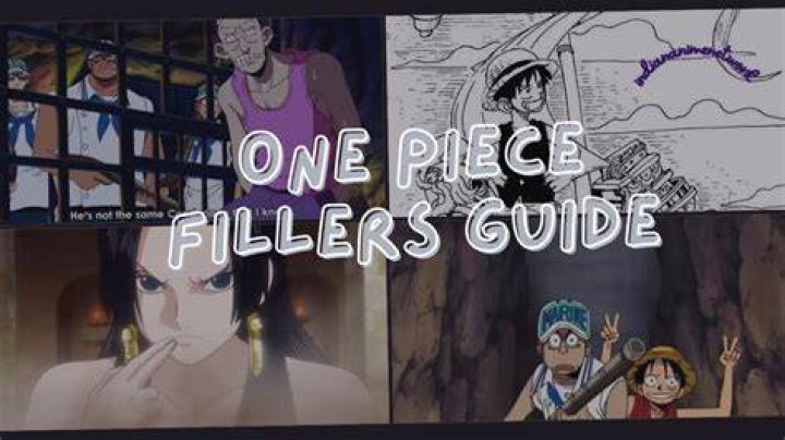 Filler Guide One Piece: Navigating Through the Uncharted Waters