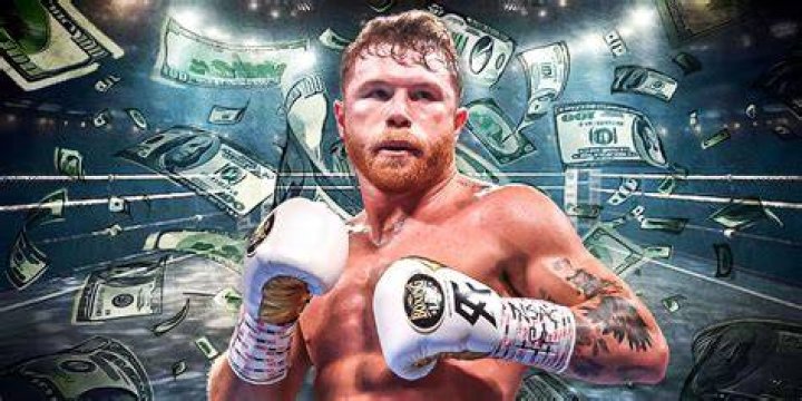Financial Success: How Much is Munguia Worth?