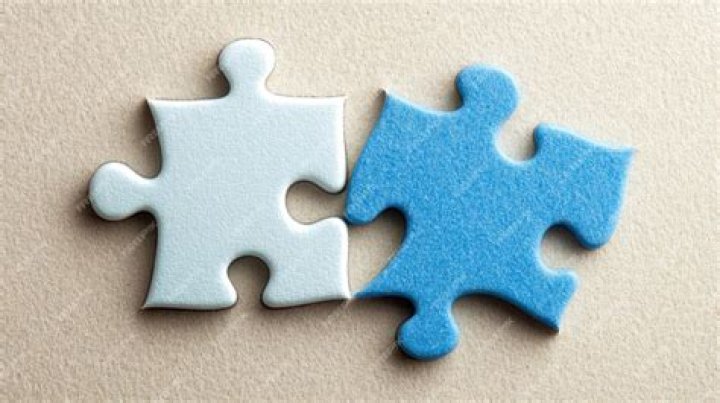 Finding Harmony: The Art of Two Puzzle Pieces Fitting Together to Create a Puzzle