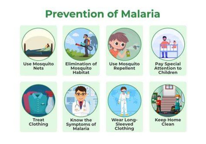 Frankerz Extension Virus 2024: Understanding, Prevention, and Solutions