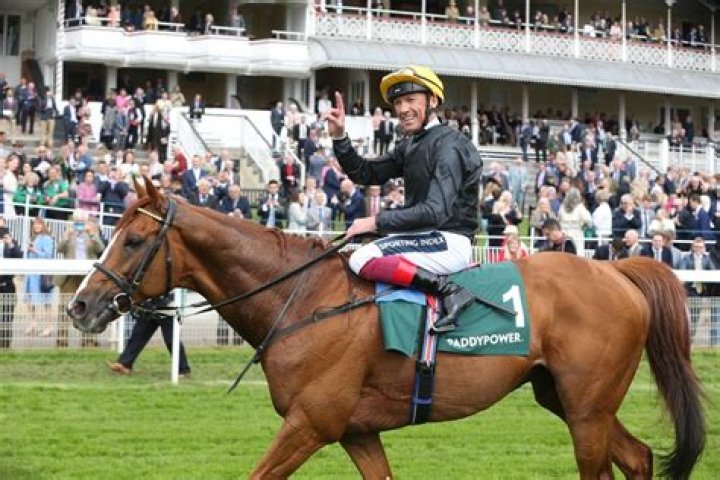 Frankie Dettori Net Worth: An Iconic Jockey's Financial Triumph