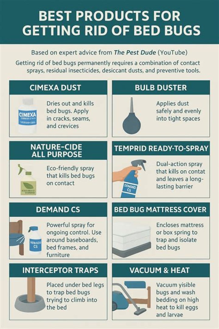 Frequency to Get Rid of Bed Bugs: Effective Strategies for a Pest-Free Home
