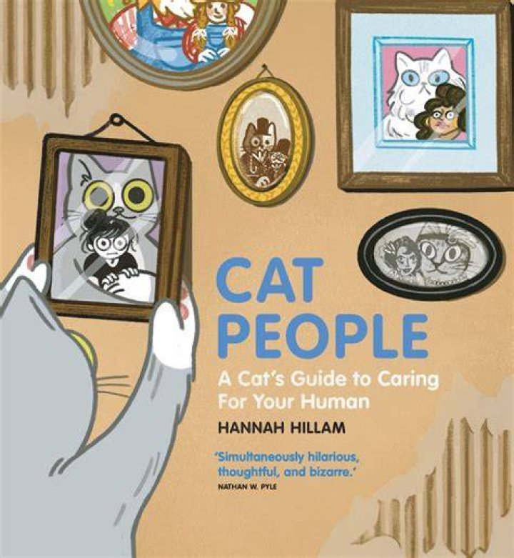 Gatos Bambinos: The Ultimate Guide to Caring for Your Little Feline Friends