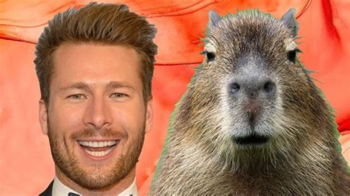 Glen Powell and the Intriguing Capybara Meme Phenomenon
