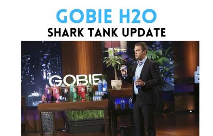 Gobie Water Bottle Net Worth: A Financial Analysis of Hydration Innovation