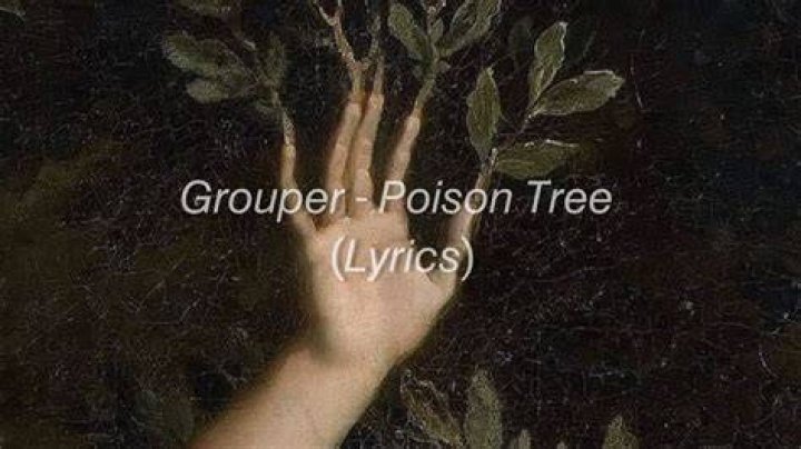 Grouper Poison Tree: Understanding the Myths and Realities
