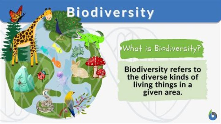 Guembe: An Oasis of Biodiversity and Natural Wonder
