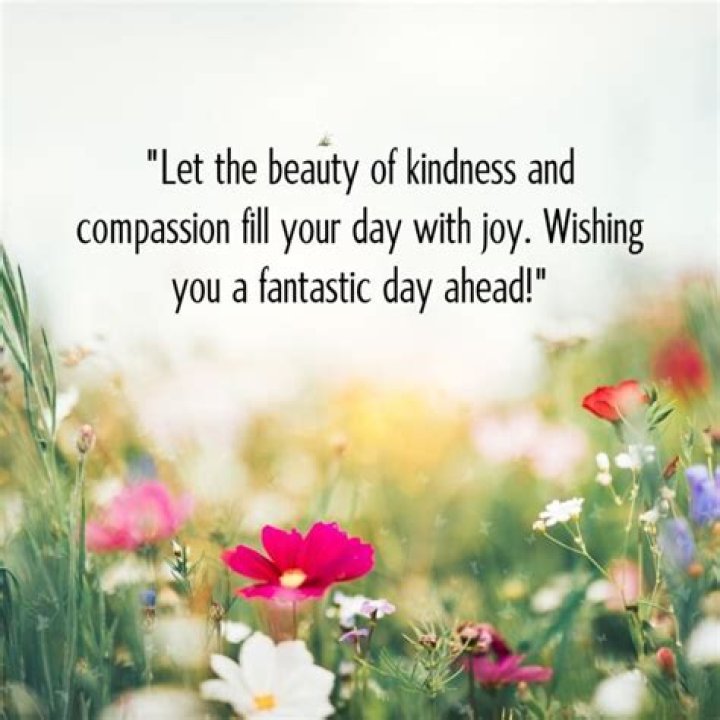Having a Beautiful Day: Embracing Positivity and Joy
