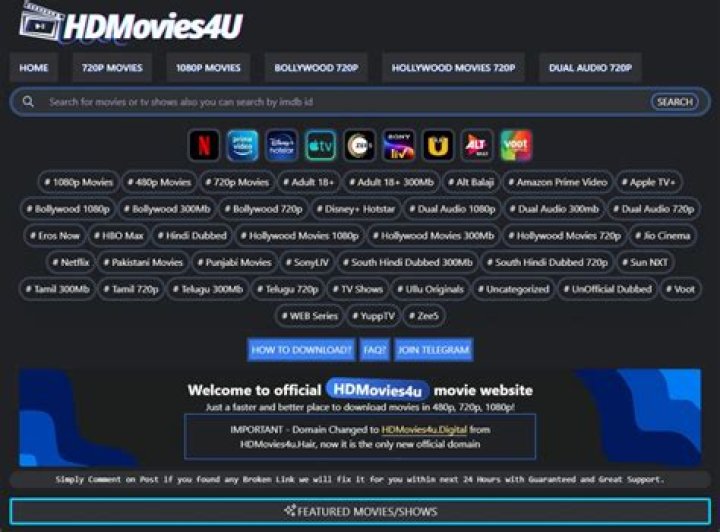 HDMovies4u 2024 Movie Download: The Ultimate Guide