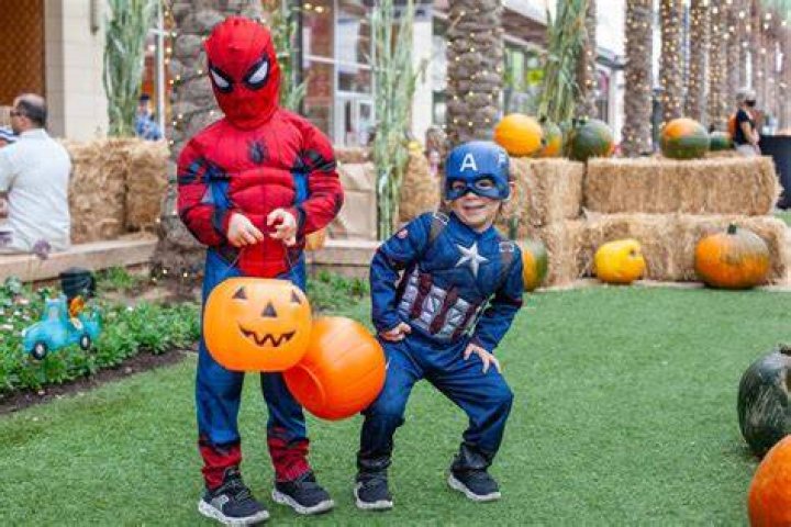 Heinicke Halloween Costume: A Creative Guide to Celebrate Spooky Season