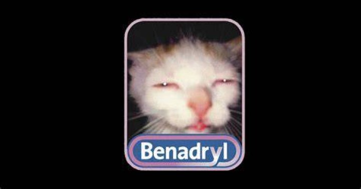 Hilarious Benedryl Memes: The Ultimate Cure for Boredome