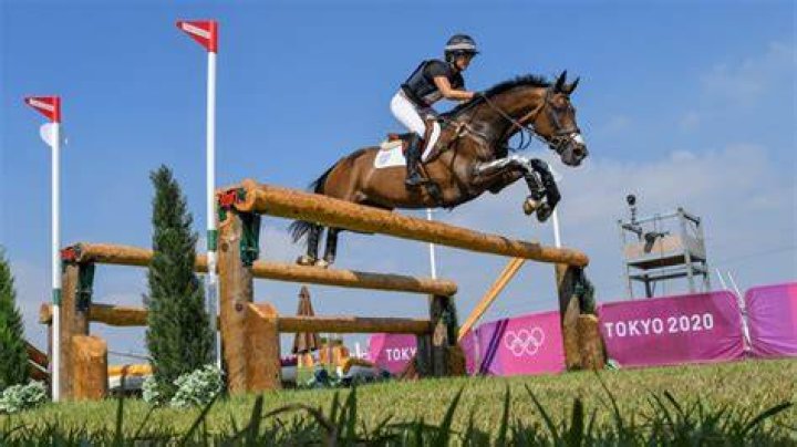 Hipica TV: Your Ultimate Guide to the World of Equestrian Sports