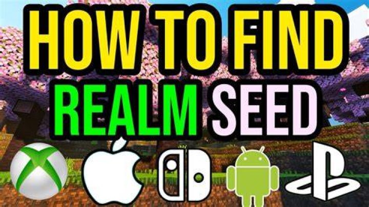 How Do I Find My Seed in Minecraft PC?