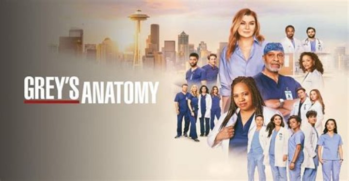 How Many Seasons of Grey's Anatomy Are There?