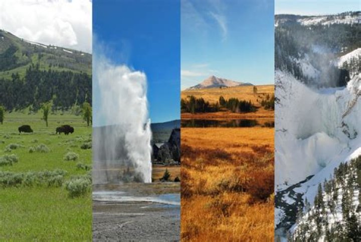 How Many Seasons of Yellowstone: A Comprehensive Guide