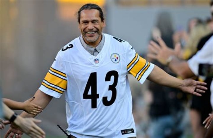 How Much Is Troy Polamalu Worth? A Deep Dive into the NFL Legend's Wealth