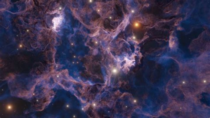 How Old is Cam Echo? Discovering the Age of the Rising Star