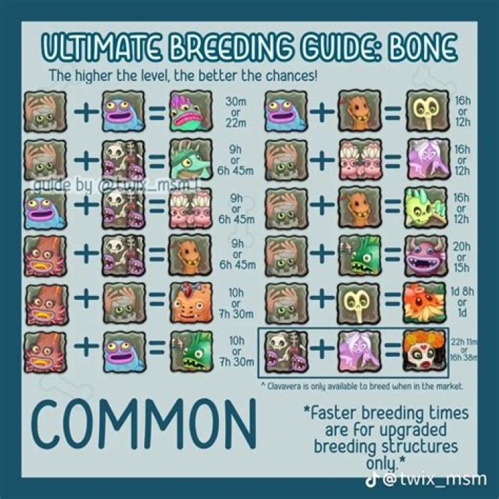 How to Breed Sponges: A Comprehensive Guide