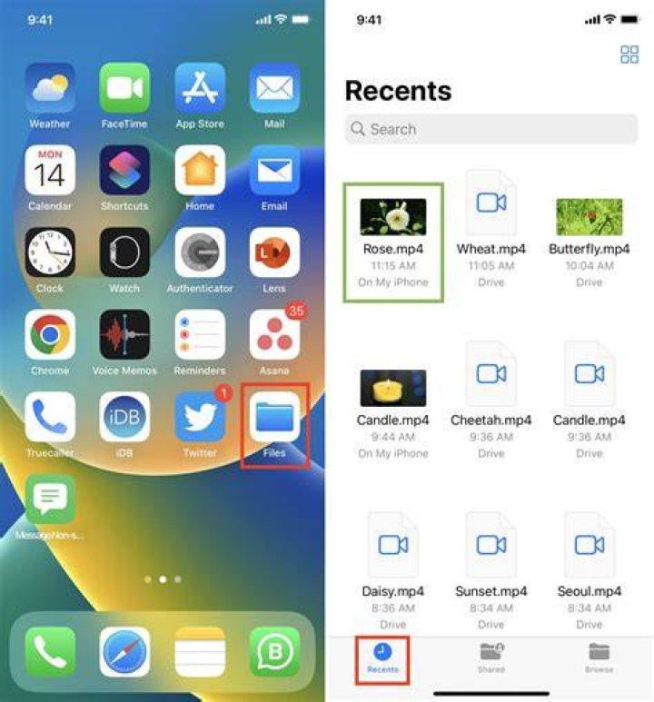 How to Download from Wallpaper Alive: A Comprehensive Guide