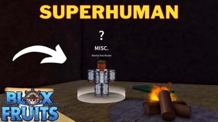 How to Get Super Human in Roblox Blox Fruits