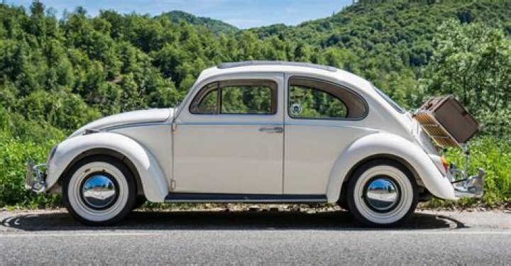 How to Get to King Beetle: A Comprehensive Guide
