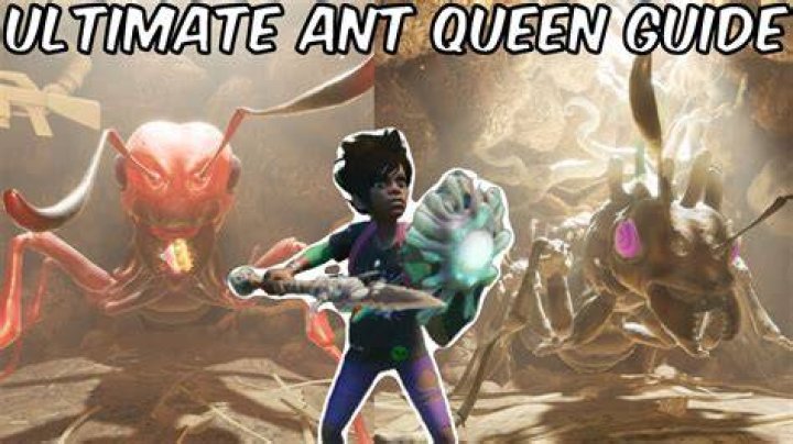 How to Make an Ant a Friend: Grounded Approaches to Ant Companionship