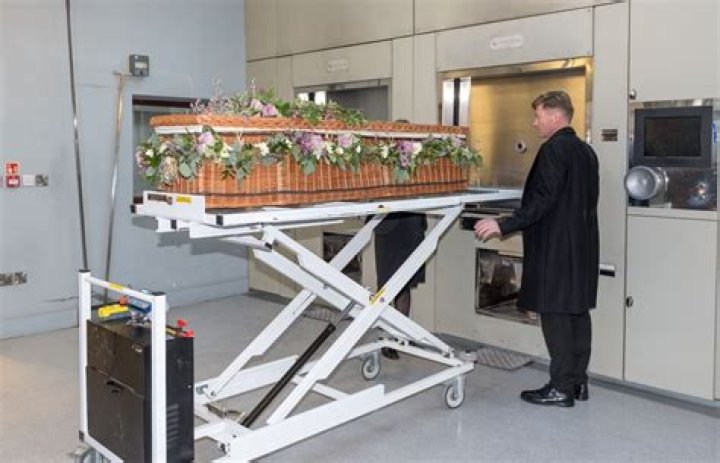 How to Painlessly Die: Understanding the Process and Options